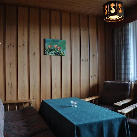 Liseth Og Hyttetun Tatil parkı Eidfjord