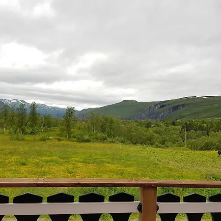 Liseth Og Hyttetun Tatil parkı Eidfjord