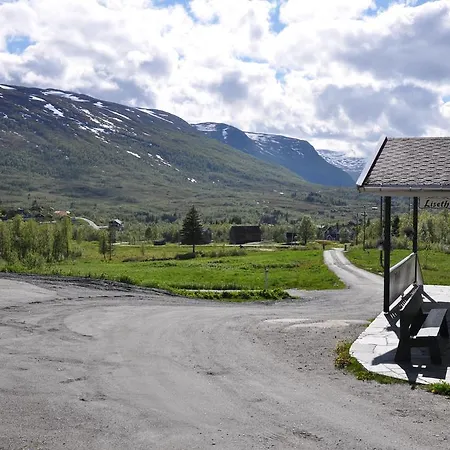 Liseth Og Hyttetun * Garden